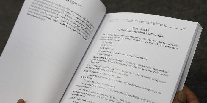 Constituição será traduzida para línguas indígenas mais faladas