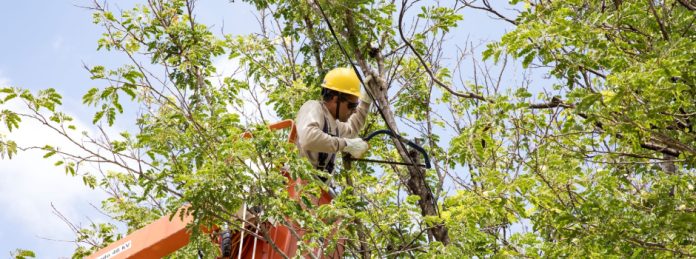 Agência Minas Gerais | Período chuvoso finaliza com redução no número e no tempo de ocorrências em áreas atendidas pela Cemig 