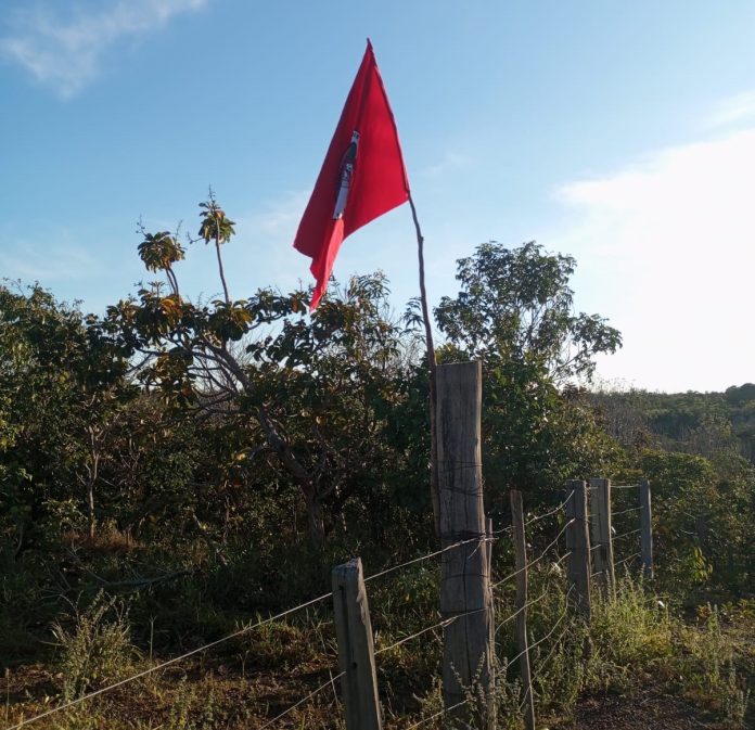 Área ocupada por soja cresceu 185 vezes em área de conflito agrário no Tocantins – Brasil de Fato