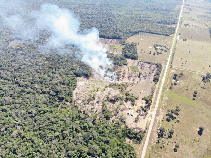 Atraso na demarcação de terras indígenas leva a degradação de biomas, mostra estudo