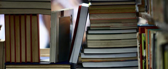 Feira Literária na Restinga descentraliza acesso à leitura em bairro periférico de Porto Alegre – Brasil de Fato