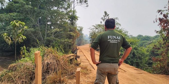 Ibama e Funai terão que combater invasão em terrítório indígena no PA