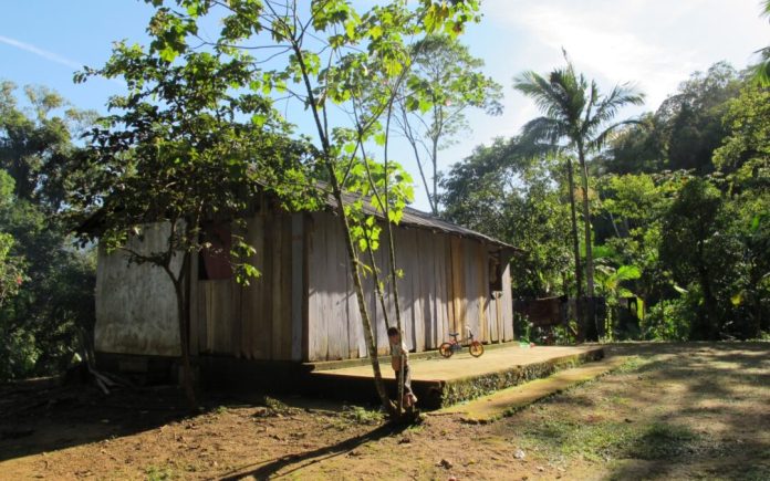 Povo Guarani denunciam perseguição e negação de direitos no litoral do Paraná – Brasil de Fato