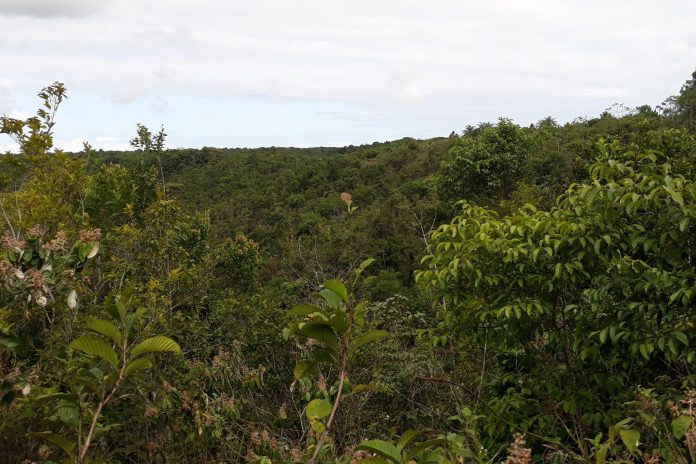 cinismo social e descaso ambiental no coração da mata atlântica – Brasil de Fato