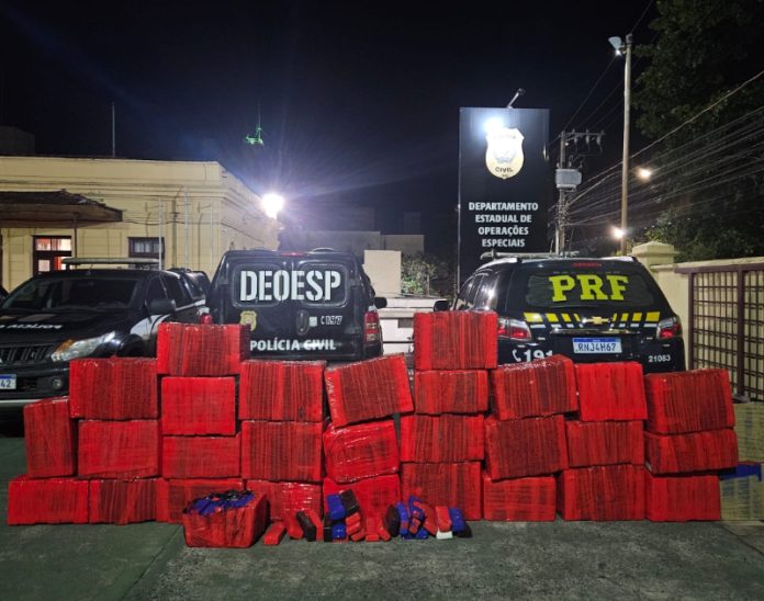 860 quilos de maconha são apreendidos em Formiga 