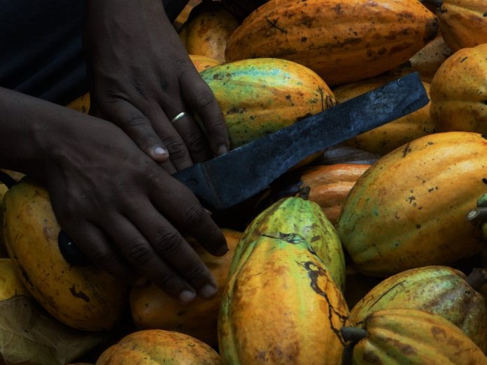 Alimento, presságio de revolução – Brasil de Fato