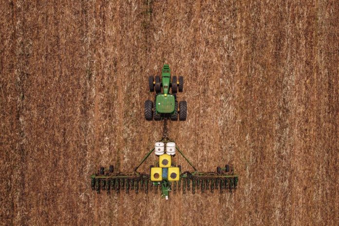 Desmatamento cai em todos os biomas; Amazônia tem redução recorde e Cerrado ainda lidera devastação – Brasil de Fato