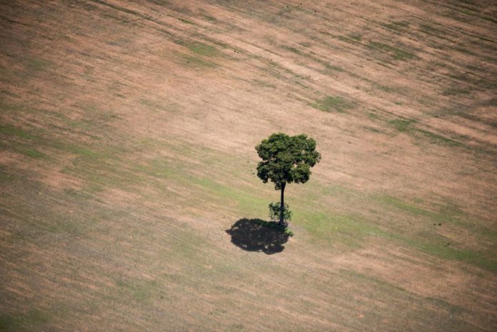 Em votação no Senado, ‘PL da Devastação’ enfraquece preservação e amplia racismo ambiental – Brasil de Fato