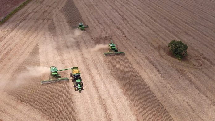 Por que a comida no Brasil fica cada vez mais cara se a safra está cada vez maior? – Brasil de Fato