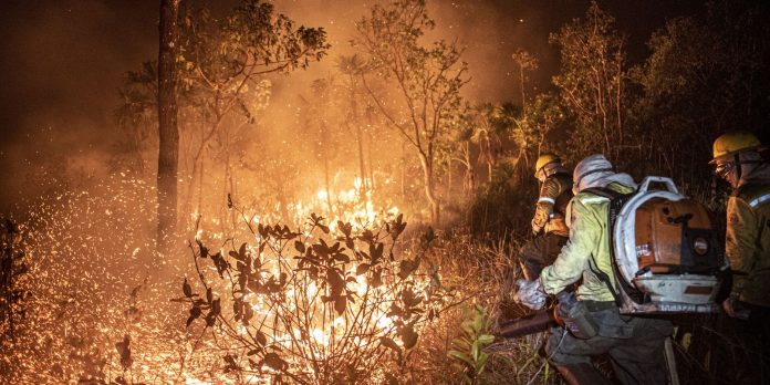 STF permite desapropriação de terra por incêndio ilegal e desmatamento