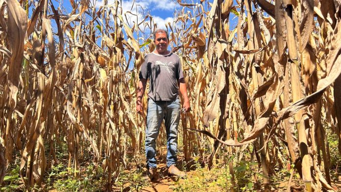 Comunidade centenária de Goiás convive com ameaça de despejo e pode perder terra para família Caiado
