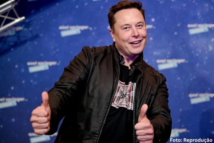 Elon Musk compra terreno em Minas e aposta no “ouro branco” do Vale do Jequitinhonha