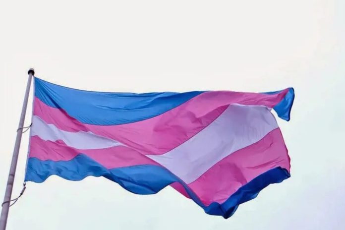 Mariana promove 'Mutirão da Retificação de Nome' para pessoas trans