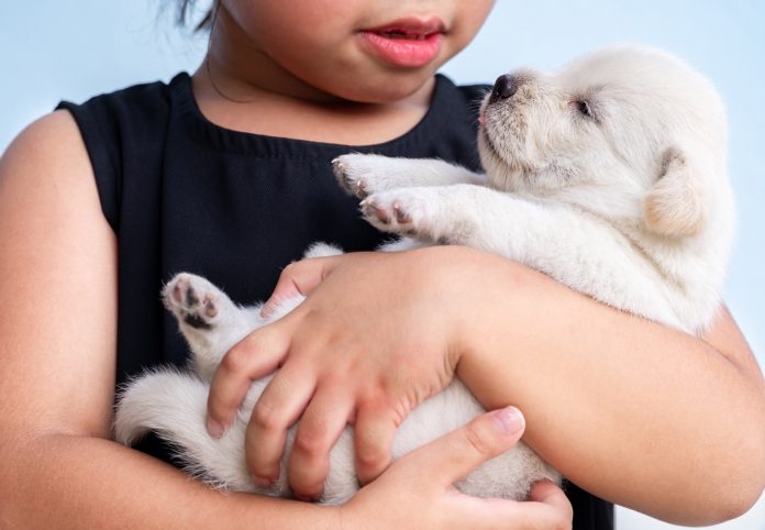 Nova lei torna crime tatuar ou colocar piercing em animais no Brasil