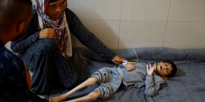 Sob pressão em função da fome em Gaza, Israel anuncia pausa militar