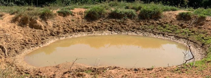 Agência Minas Gerais | Minas Gerais consolida protagonismo nacional com novo Programa Produtor de Água