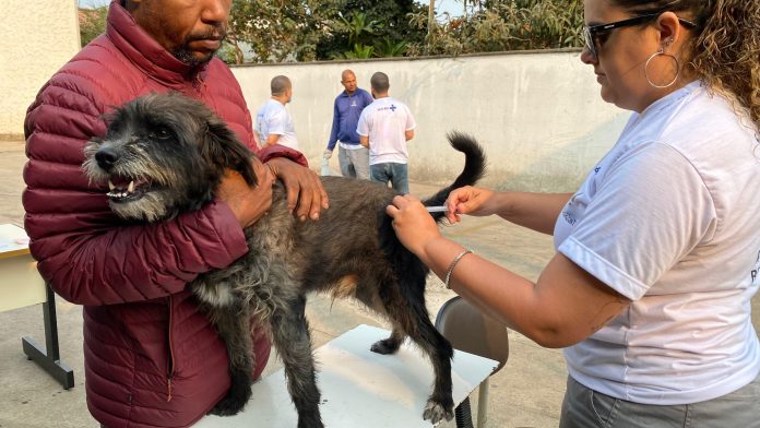 Agência Minas Gerais | Minas Gerais dá início à campanha de vacinação contra a raiva em cães e gatos   