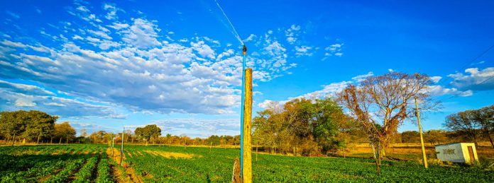 Agência Minas Gerais | Nova Lei estimula produtores rurais de Minas Gerais a irrigar pela primeira vez