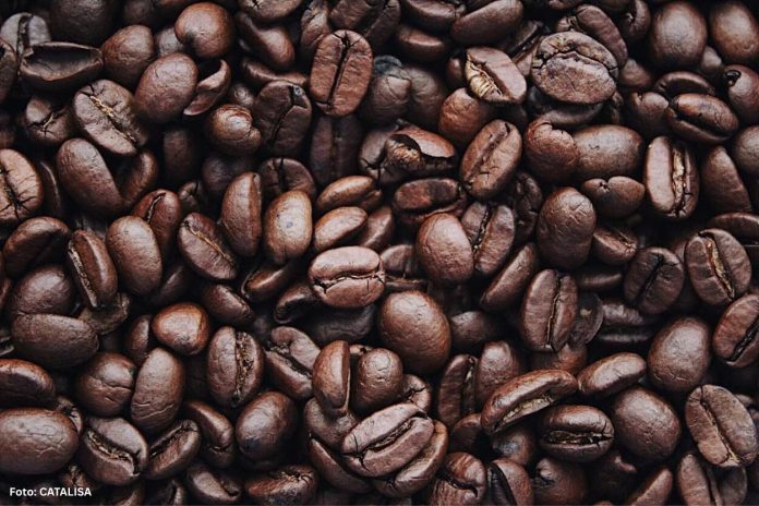 China autoriza mais de 180 empresas brasileiras a exportar café