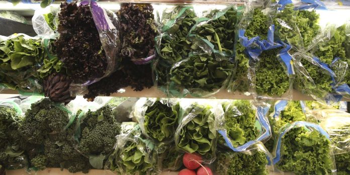Consea pretende inserir discussão sobre segurança alimentar na COP30
