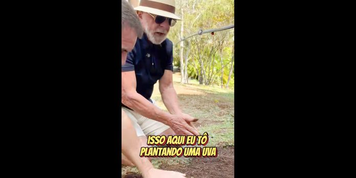 Em vídeo a Trump, Lula diz que planta comida, não ódio