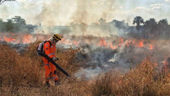 Agência Minas Gerais | Com mais de R$ 20 milhões aplicados, Minas Gerais reduz focos de incêndio em até 57% nas Unidades de Conservação