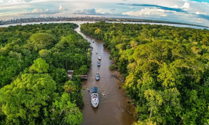 Anunciado por Lula, Fundo Florestas Tropicais só funcionará se exploração na Amazônia cessar, analisa pesquisador