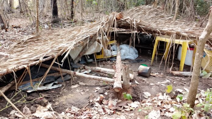 Invasores destroem barraco e ameaçam atear fogo em assentamento no Tocantins