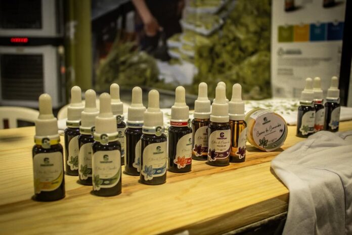 Parceria entre Cebrapcam e Insa promete avanços para cannabis medicinal no Semiárido paraibano