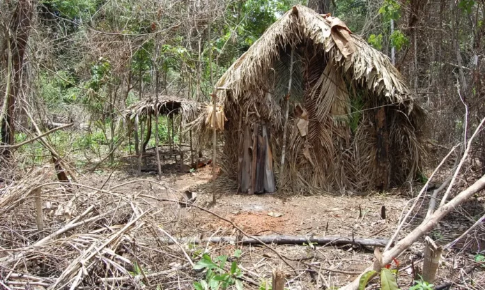 STF aprova criação do Parque Nacional Tanaru em área onde viveu 'índio do buraco'