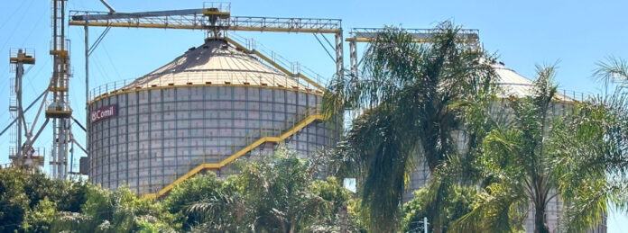 Agência Minas Gerais | Produtores rurais terão nova linha de crédito do BDMG para investir em práticas sustentáveis e acessar novos mercados