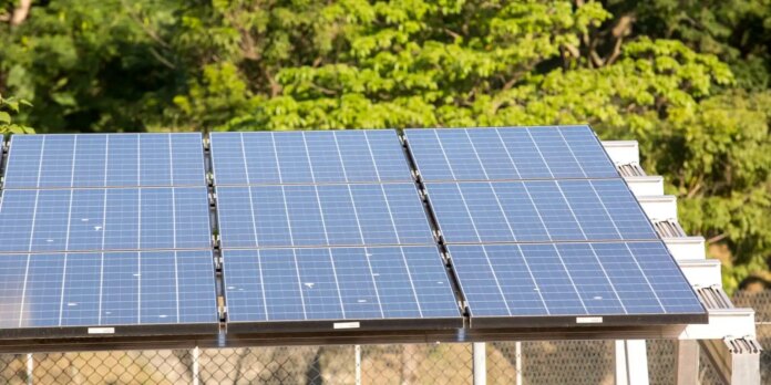 Ceará: Associação alerta para avanço de usinas solares na Caatinga