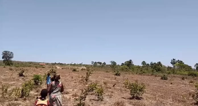 No Tocantins, empresa descumpre liminar, invade quilombo e aterra córrego do território — Brasil de Fato