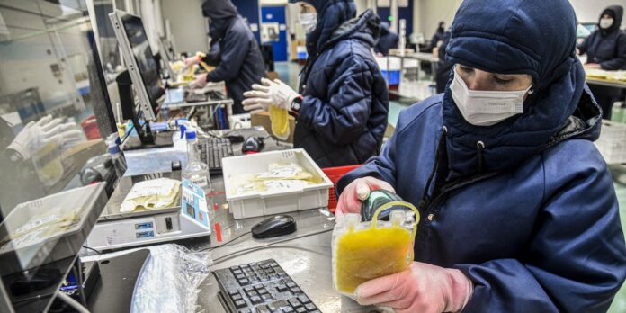 SUS vai ampliar aproveitamento de plasma sanguíneo em 30%