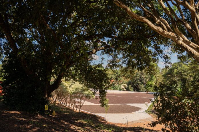 Agência Minas Gerais | Empresários e prefeituras terão R$ 700 milhões em linhas de crédito do BDMG para fomentar economia verde no estado