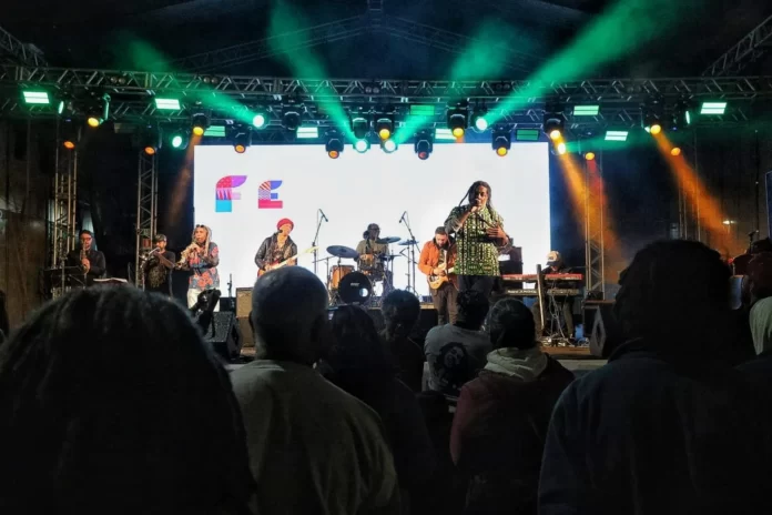 Mais de 7 mil pessoas participaram do festival no centro de Pelotas ao longo do domingo (3)