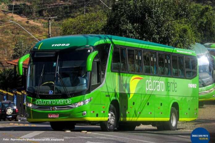 Deputados acionam o MPMG contra a Pássaro Verde após denúncias de passageiros