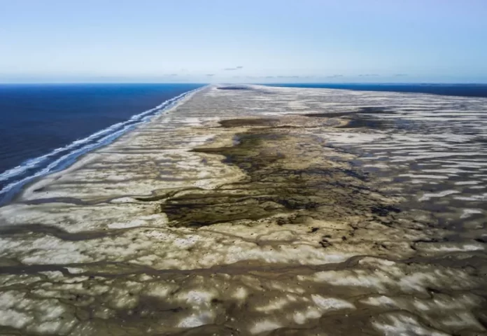 Região do Albardão é uma das mais importantes para a manutenção da biodiversidade do Atlântico Sul
