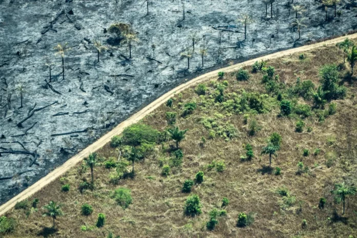 91% dos eleitores acham importantes propostas contra a crise climática; veja o que os presidenciáveis prometem