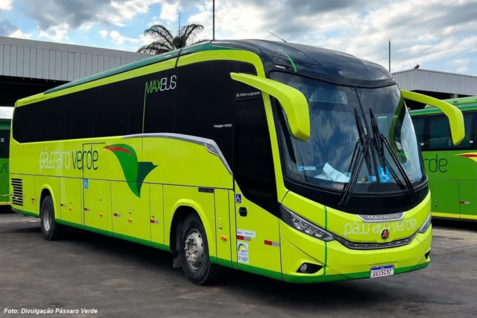 Passageiros denunciam falhas em ônibus da Pássaro Verde; empresa promete nova frota